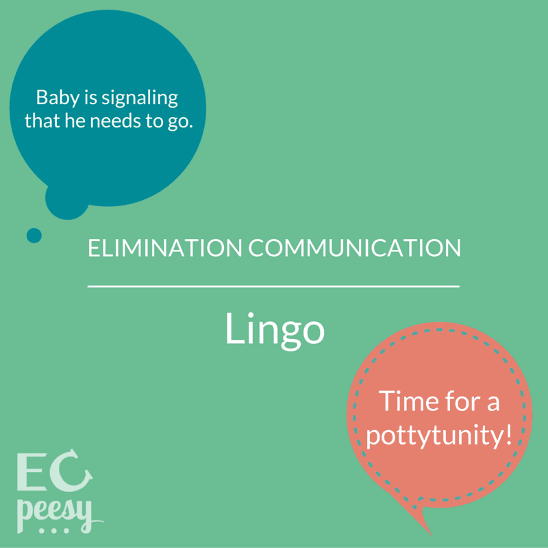 Elimination Communication Vocabulary Explained