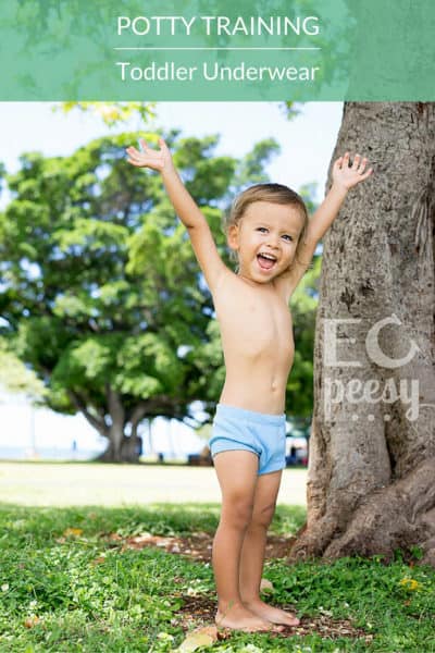 Toddler Underwear for Potty Training and EC Graduates